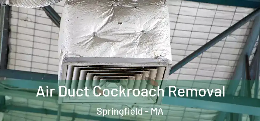 Air Duct Cockroach Removal Springfield - MA