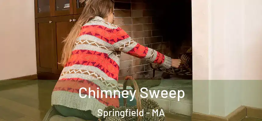  Chimney Sweep Springfield - MA