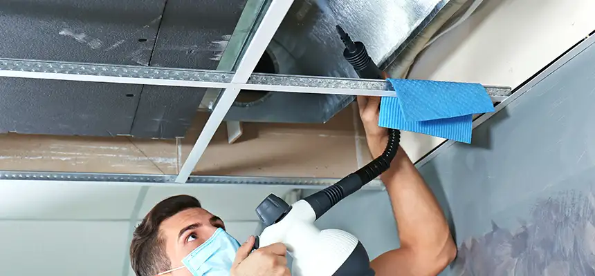 Our Air Duct Rodent Removal Services in Springfield, MA