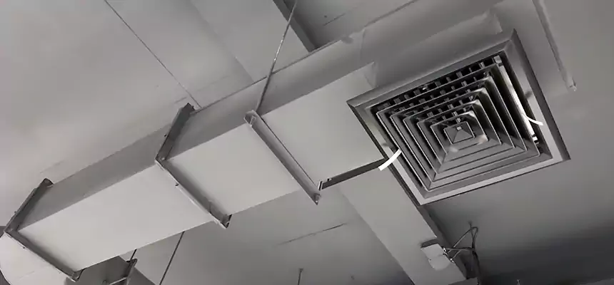 Our Pest Removal From Ducts Services in Springfield, MA