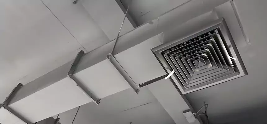 Our Rodent Droppings In Vents Services in Springfield, MA