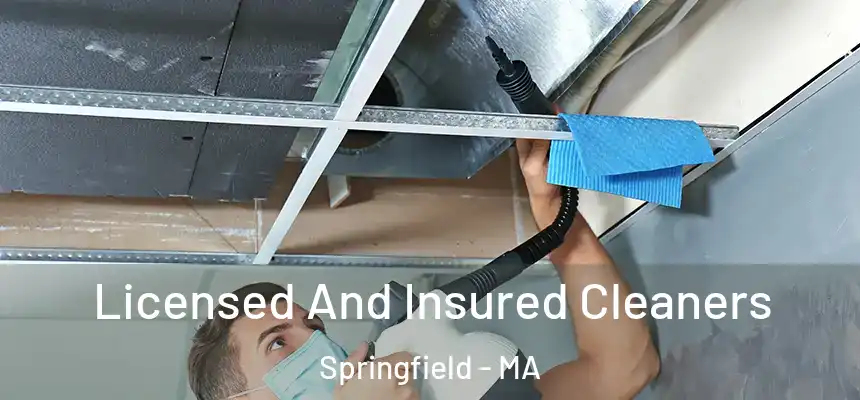 Licensed And Insured Cleaners Springfield - MA