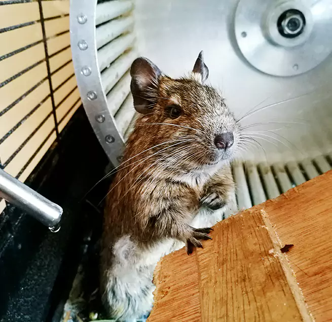 Why Homeowners & Businesses Trust Us Springfield, MA