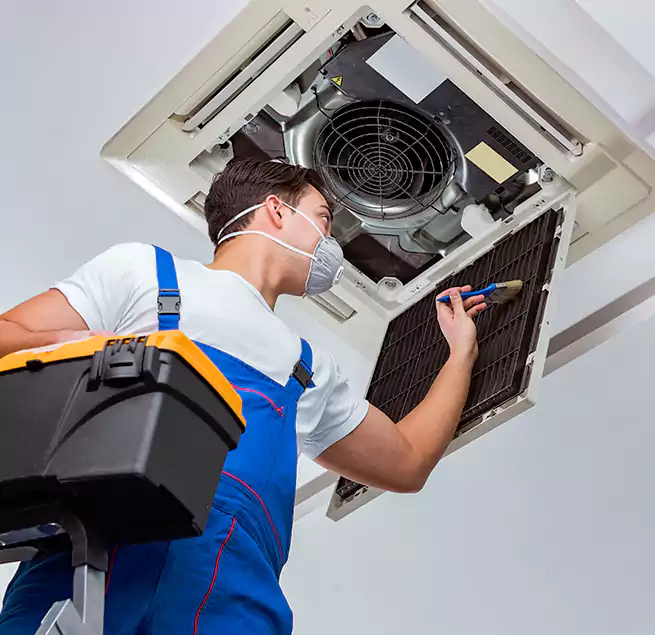 Why Homeowners & Businesses Trust Us in Springfield, MA